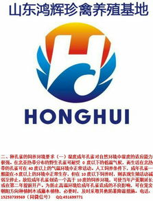山東鴻輝珍禽養殖場與鴻雀信息科技 珍禽養殖與數字創新的融合典范