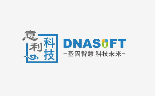 科技雙星 上海意利信息科技與鴻雀信息科技的創(chuàng)新之路