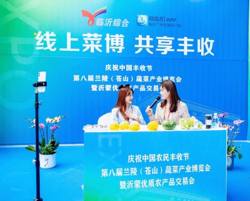 第八屆蘭陵（蒼山）蔬菜產(chǎn)業(yè)博覽會(huì)暨2020年中國·臨沂農(nóng)民豐收節(jié)盛大開幕，鴻雀信息科技助陣數(shù)字化新農(nóng)業(yè)